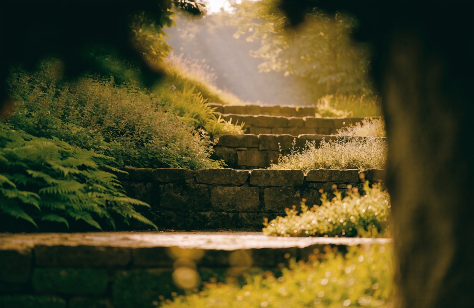 Putting Compounding to Work: Four Levers That Quietly Grow Wealth