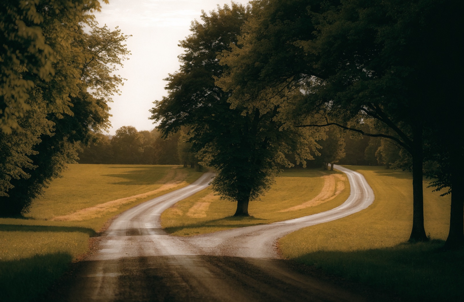 Active or Passive Real Estate Investing: Weighing the Trade-Offs